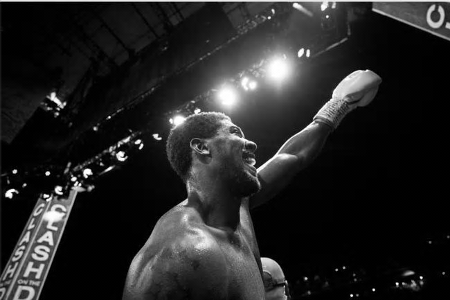 The Anthony Joshua vs Wladimir Klitschko fight purse | Daily Mail Online