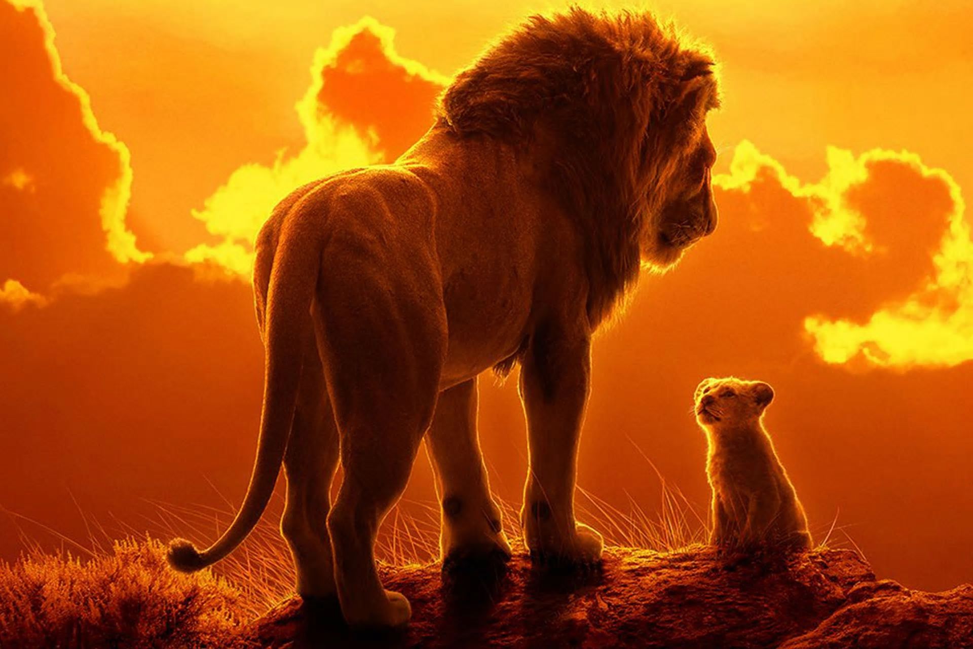 The Lion King download the new version for ipod
