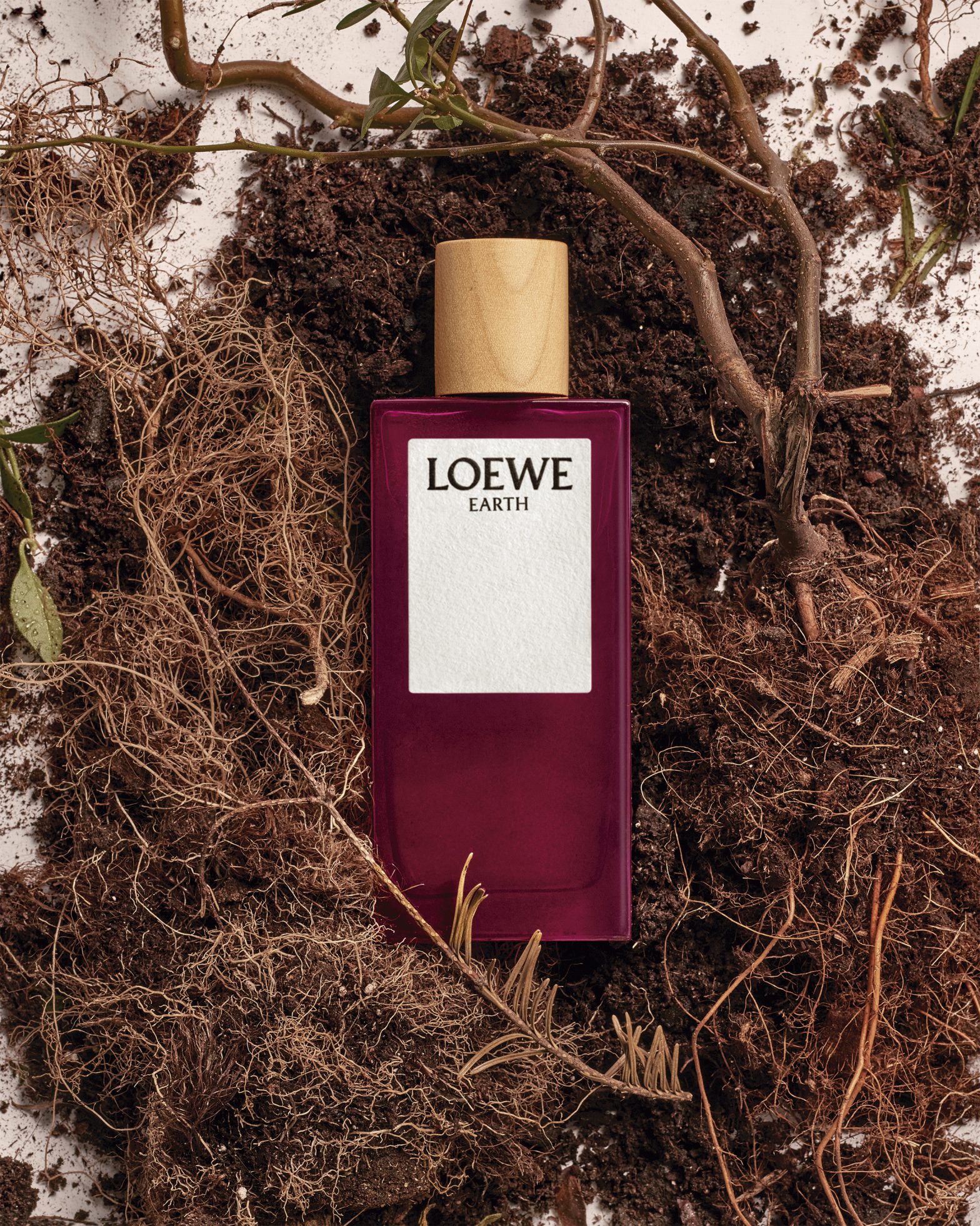 Loewe Drops Earth – the First New Addition to Its Botanical Rainbow