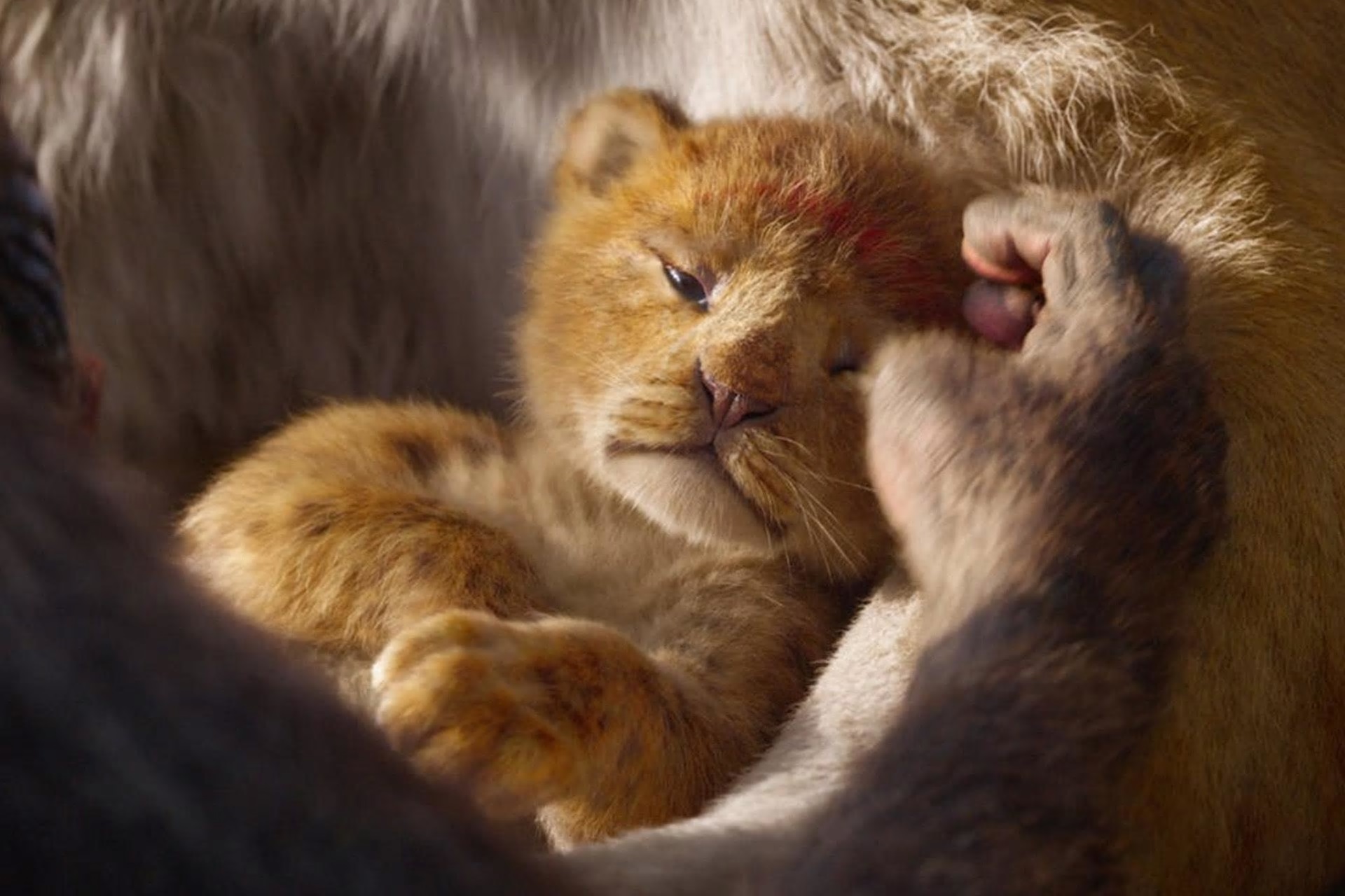 The Lion King Just Dropped A Full Length Trailer And We Have All Of The Feels